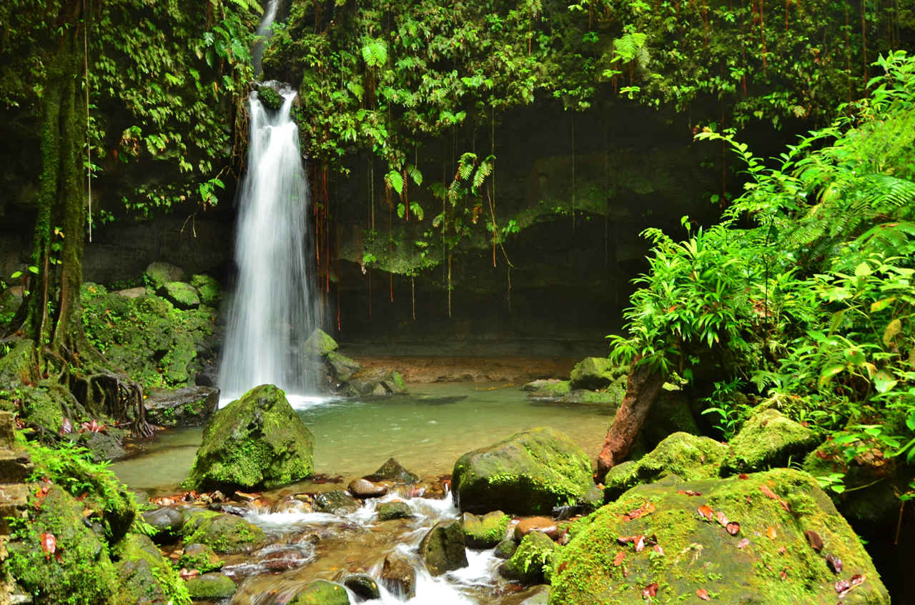 Discover Brazil