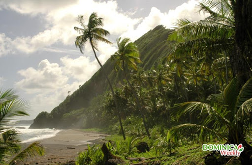 Discover Brazil
