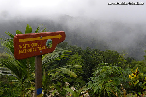 Discover Brazil