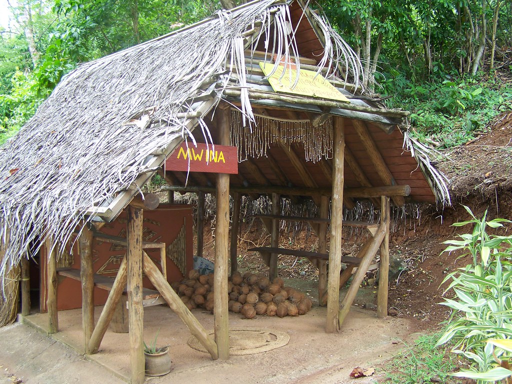Discover Brazil